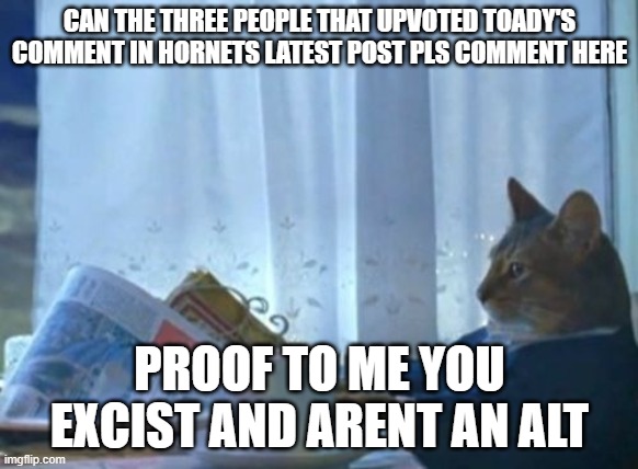 QUICK TOADY YOU GOTTA SWITCH ACCOUNTS!!! | CAN THE THREE PEOPLE THAT UPVOTED TOADY'S COMMENT IN HORNETS LATEST POST PLS COMMENT HERE; PROOF TO ME YOU EXCIST AND ARENT AN ALT | image tagged in memes,i should buy a boat cat | made w/ Imgflip meme maker
