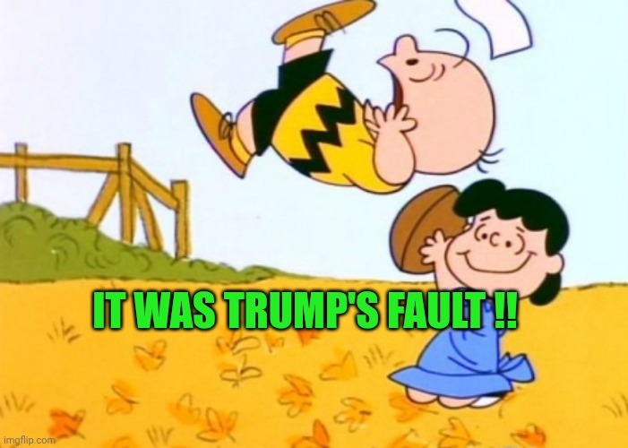 IT WAS TRUMP'S FAULT !! | image tagged in charlie brown and lucy | made w/ Imgflip meme maker