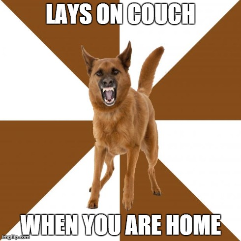 LAYS ON COUCH WHEN YOU ARE HOME | image tagged in AdviceAnimals | made w/ Imgflip meme maker
