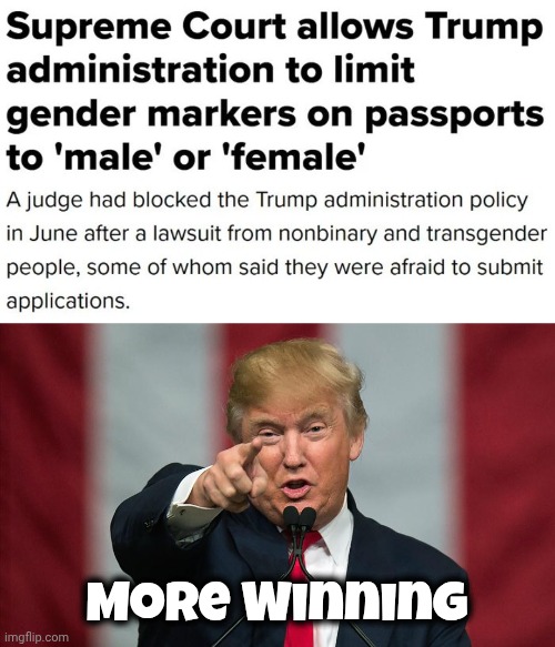 Play your word games with someone who cares | More Winning | image tagged in donald trump birthday,2 genders,and that's a fact,i'm tired of pretending it's not | made w/ Imgflip meme maker