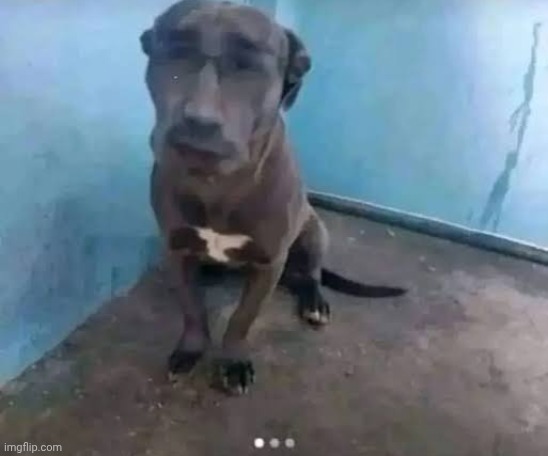 Mid ass fucking drama I'm falling asleep over here toady this toady that get back to shitposting  yapping around | made w/ Imgflip meme maker