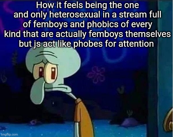 Sad Squidward | How it feels being the one and only heterosexual in a stream full of femboys and phobics of every kind that are actually femboys themselves but js act like phobes for attention | image tagged in sad squidward | made w/ Imgflip meme maker