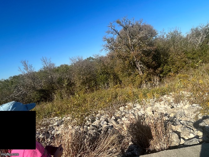 i like posting the fotos | made w/ Imgflip meme maker