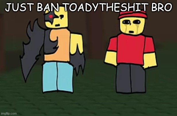crotato why | JUST BAN TOADYTHESHIT BRO | image tagged in crotato why | made w/ Imgflip meme maker