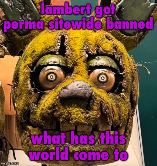 i don’t think he didn’t even do anything bannable, what is this moderation | lambert got perma sitewide banned; what has this world come to | image tagged in spingletap | made w/ Imgflip meme maker