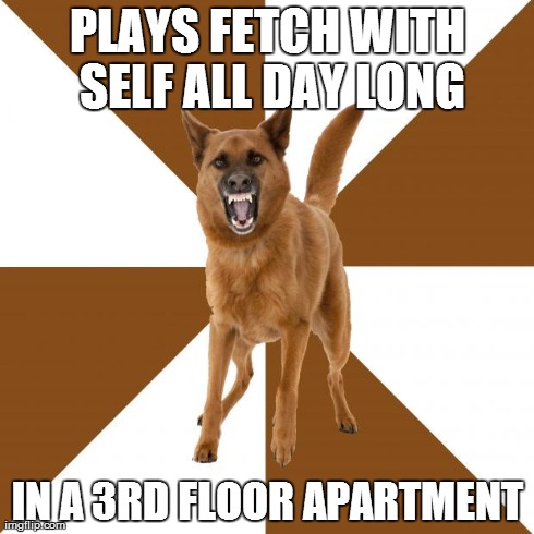 PLAYS FETCH WITH SELF ALL DAY LONG IN A 3RD FLOOR APARTMENT | image tagged in AdviceAnimals | made w/ Imgflip meme maker