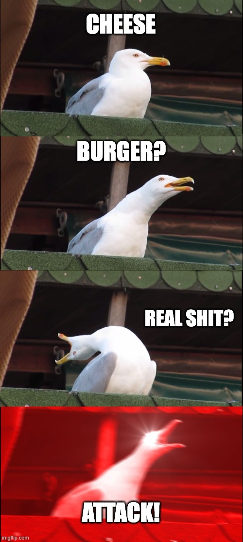 Inhaling Seagull Meme | CHEESE; BURGER? REAL SHIT? ATTACK! | image tagged in funnymemes | made w/ Imgflip meme maker