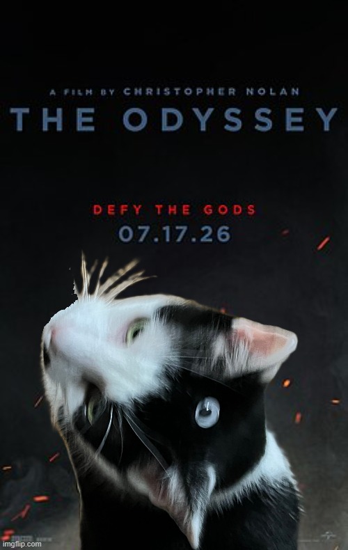 Polyphemus cat | image tagged in odyssey,homer,greek mythology,nolan,cute cat | made w/ Imgflip meme maker