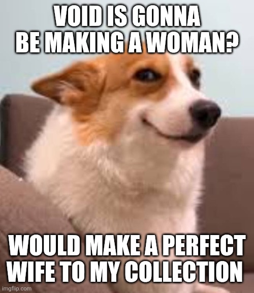 sus doggo smile | VOID IS GONNA BE MAKING A WOMAN? WOULD MAKE A PERFECT WIFE TO MY COLLECTION | image tagged in sus doggo smile | made w/ Imgflip meme maker