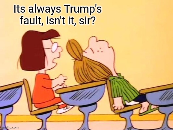 Marcie and Peppermint Patty Peanuts | Its always Trump's fault, isn't it, sir? | image tagged in marcie and peppermint patty peanuts | made w/ Imgflip meme maker
