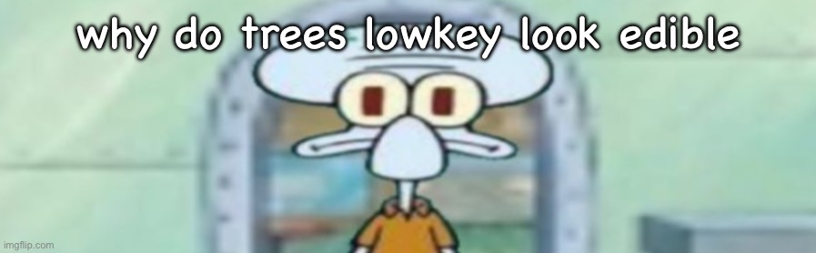 squidward staring | why do trees lowkey look edible | image tagged in squidward staring | made w/ Imgflip meme maker