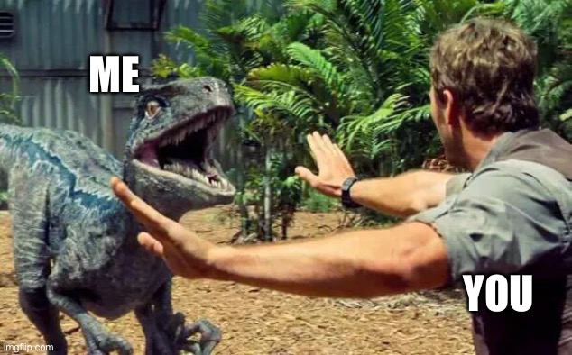 Jurassic World Velociraptor | ME YOU | image tagged in jurassic world velociraptor | made w/ Imgflip meme maker