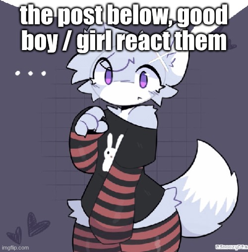 furry femboy speech bubble | the post below, good boy / girl react them | image tagged in furry femboy speech bubble | made w/ Imgflip meme maker