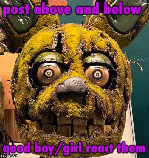 spingletap | post above and below; good boy/girl react them | image tagged in spingletap | made w/ Imgflip meme maker