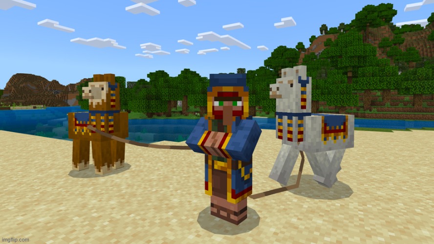 Wandering Trader | image tagged in wandering trader | made w/ Imgflip meme maker