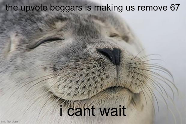 the upvote beggars is making us remove 67 i cant wait | image tagged in memes,satisfied seal | made w/ Imgflip meme maker