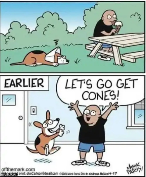 Cones | image tagged in repost,cones | made w/ Imgflip meme maker