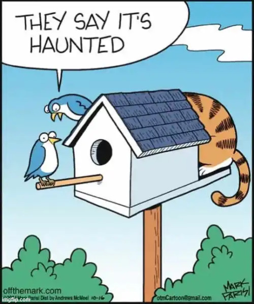 Haunted | image tagged in repost,haunted | made w/ Imgflip meme maker