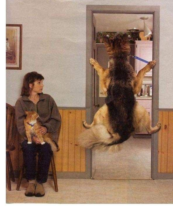 Chrisjoines1 Blank Meme Template