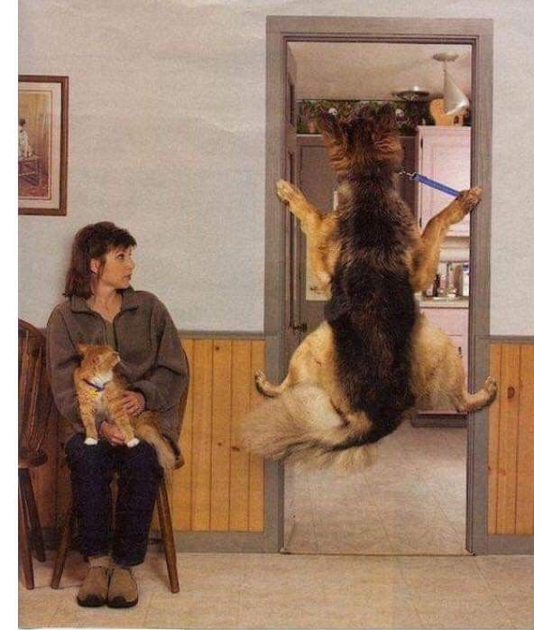 Chrisjoines1 Blank Meme Template