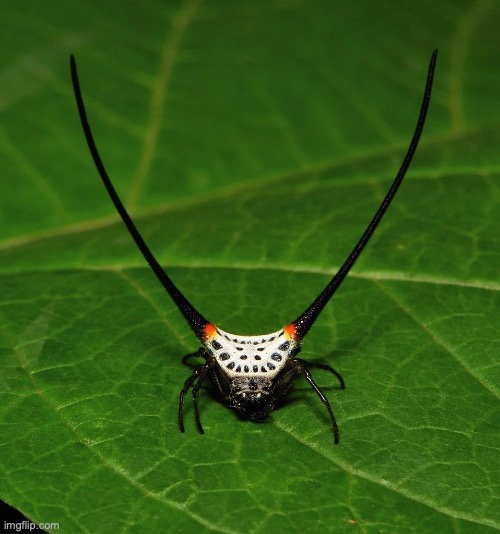 hmmm... | made w/ Imgflip meme maker