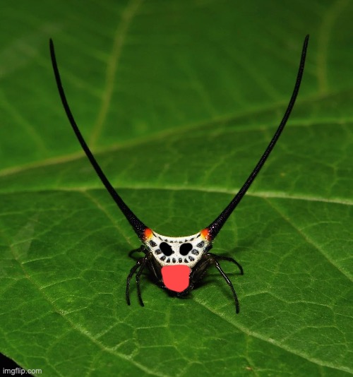 NO WYA A HOLLOW KNIGHT REFERENCE!!!11!!!!!1!11! | made w/ Imgflip meme maker