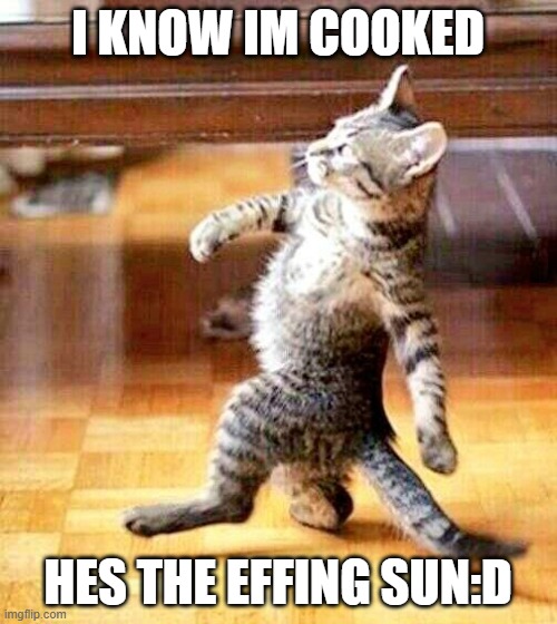 I KNOW IM COOKED HES THE EFFING SUN:D | image tagged in cat walking away | made w/ Imgflip meme maker