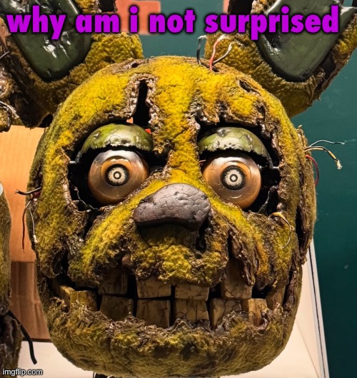 of course everyone is going to goon | why am i not surprised | image tagged in spingletap | made w/ Imgflip meme maker