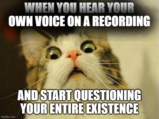 WHEN YOU HEAR YOUR OWN VOICE ON A RECORDING | WHEN YOU HEAR YOUR OWN VOICE ON A RECORDING; AND START QUESTIONING YOUR ENTIRE EXISTENCE | image tagged in memes,scared cat,voice,existentialism,existence,camera | made w/ Imgflip meme maker