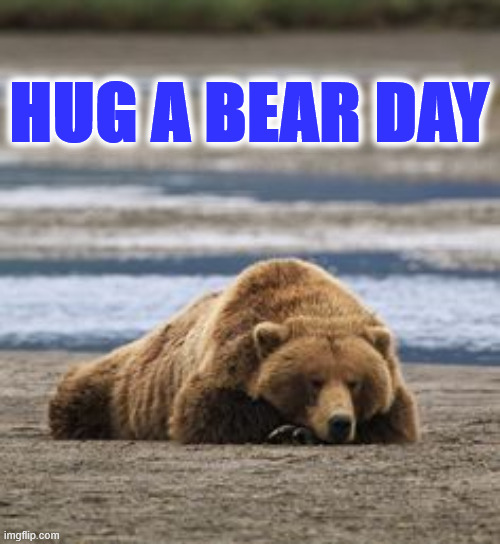 bear | HUG A BEAR DAY | image tagged in bear | made w/ Imgflip meme maker