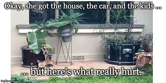 Drummed out | Okay, she got the house, the car, and the kids ... ... but here's what really hurt. | image tagged in drummed out | made w/ Imgflip meme maker