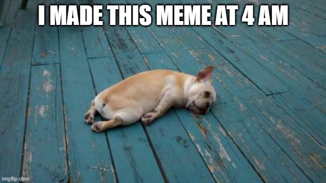 I Need Sleep Lol | I MADE THIS MEME AT 4 AM | image tagged in tired dog,awake,sleep | made w/ Imgflip meme maker