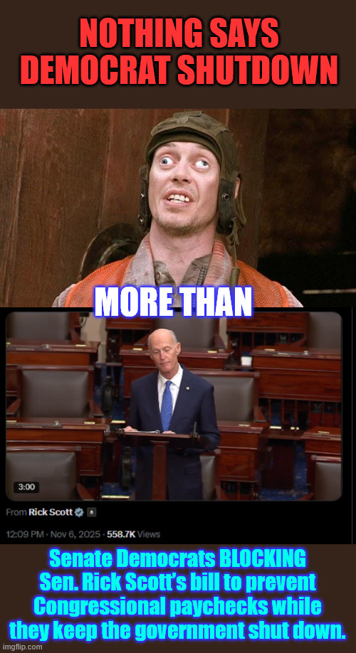 As long as they keep getting paid, they don't care | NOTHING SAYS DEMOCRAT SHUTDOWN; MORE THAN; Senate Democrats BLOCKING Sen. Rick Scott’s bill to prevent Congressional paychecks while they keep the government shut down. | image tagged in schumer shutdown | made w/ Imgflip meme maker