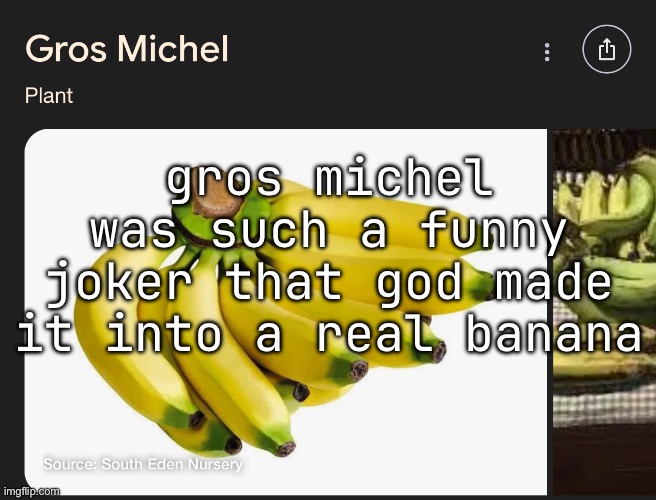 gros michel was such a funny joker that god made it into a real banana | made w/ Imgflip meme maker