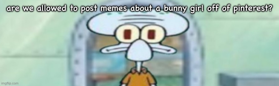 i don’t want banned again for ””””””porn”””””” | are we allowed to post memes about a bunny girl off of pinterest? | image tagged in squidward staring | made w/ Imgflip meme maker