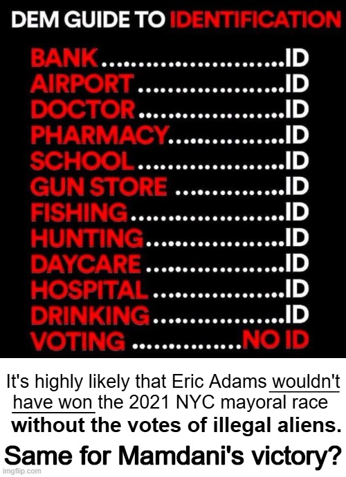 True The Vote | It's highly likely that Eric Adams wouldn't

have won the 2021 NYC mayoral race; _______; ________; without the votes of illegal aliens. Same for Mamdani's victory? | image tagged in illegal aliens,voting,elections,honey tell me what's wrong,dr phil what's wrong with people,common sense | made w/ Imgflip meme maker