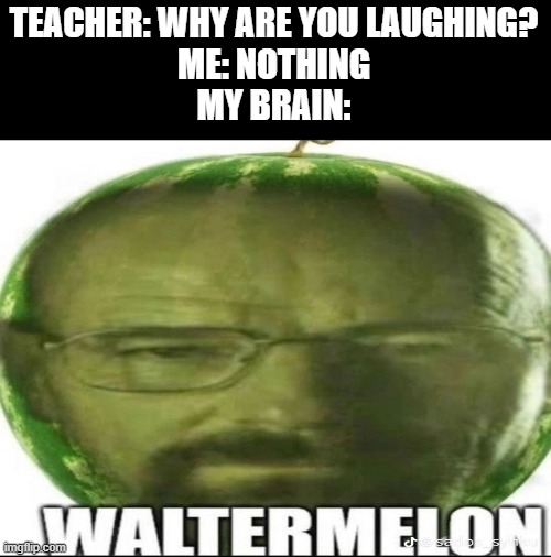 Walter...walter i can see your melon | TEACHER: WHY ARE YOU LAUGHING?
ME: NOTHING
MY BRAIN: | image tagged in stupid | made w/ Imgflip meme maker
