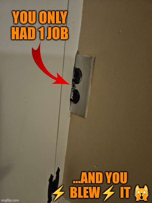 Half electric job | YOU ONLY HAD 1 JOB; ...AND YOU ⚡️ BLEW⚡️ IT 🙀 | image tagged in half electric | made w/ Imgflip meme maker
