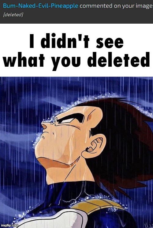image tagged in i didn't see what you deleted | made w/ Imgflip meme maker