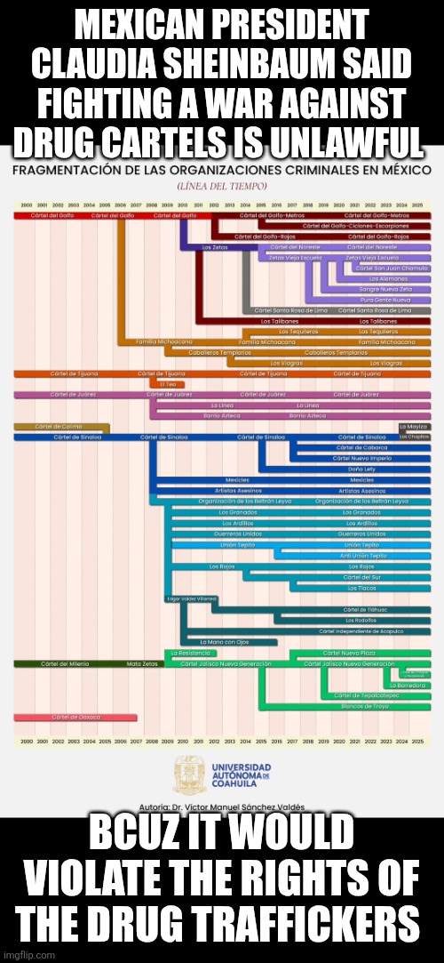 25yr timeline of Mexican drug cartels | MEXICAN PRESIDENT CLAUDIA SHEINBAUM SAID FIGHTING A WAR AGAINST DRUG CARTELS IS UNLAWFUL; BCUZ IT WOULD VIOLATE THE RIGHTS OF THE DRUG TRAFFICKERS | image tagged in 25 yrs timeline of mexican cartels,mexico,narcos,claudia sheinbaum | made w/ Imgflip meme maker
