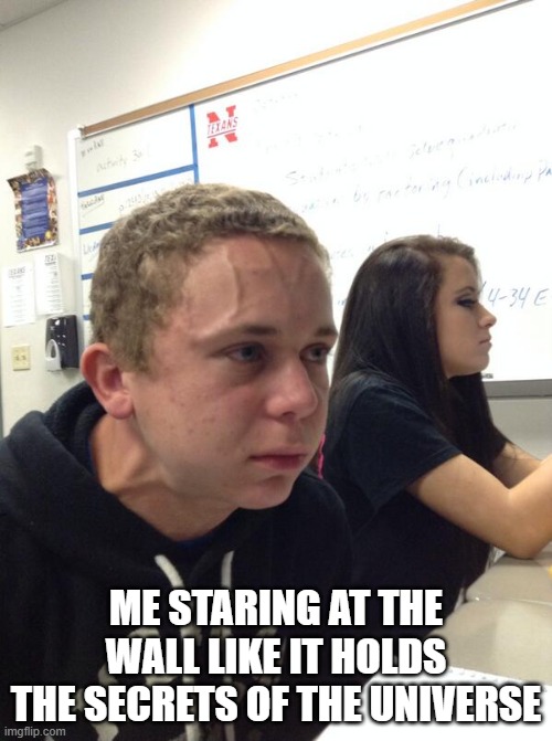 Hold fart | ME STARING AT THE WALL LIKE IT HOLDS THE SECRETS OF THE UNIVERSE | image tagged in hold fart | made w/ Imgflip meme maker