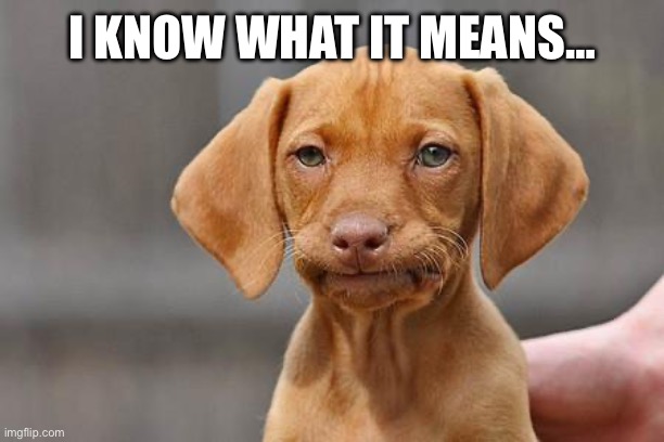 Dissapointed puppy | I KNOW WHAT IT MEANS… | image tagged in dissapointed puppy | made w/ Imgflip meme maker