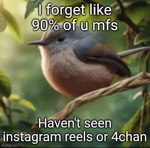Used I mean | I forget like 90% of u mfs; Haven't seen instagram reels or 4chan | image tagged in no balls | made w/ Imgflip meme maker