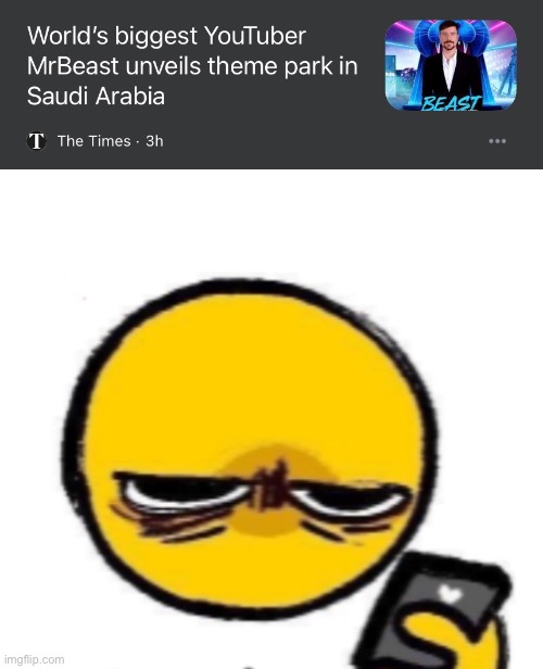 Bro what? | image tagged in looking at phone | made w/ Imgflip meme maker