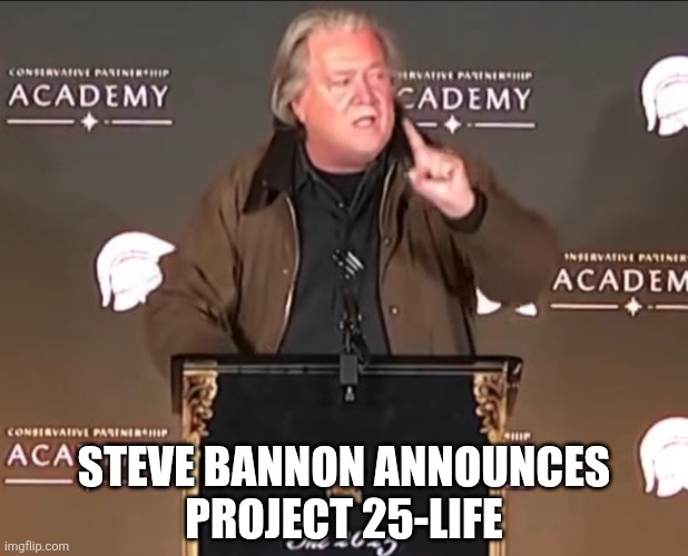 Bannon | STEVE BANNON ANNOUNCES
PROJECT 25-LIFE | image tagged in steve bannon | made w/ Imgflip meme maker