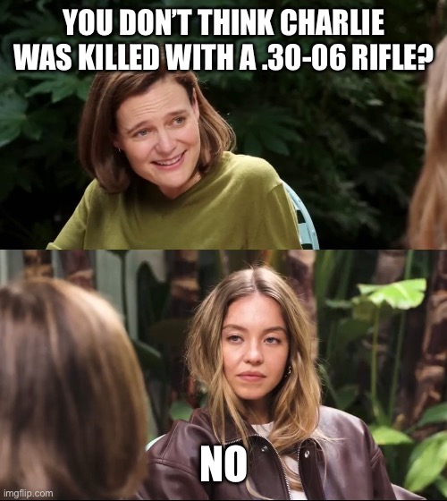 Stares in superiority | YOU DON’T THINK CHARLIE WAS KILLED WITH A .30-06 RIFLE? NO | image tagged in stares in superiority,sydney sweeney,meme,memes | made w/ Imgflip meme maker