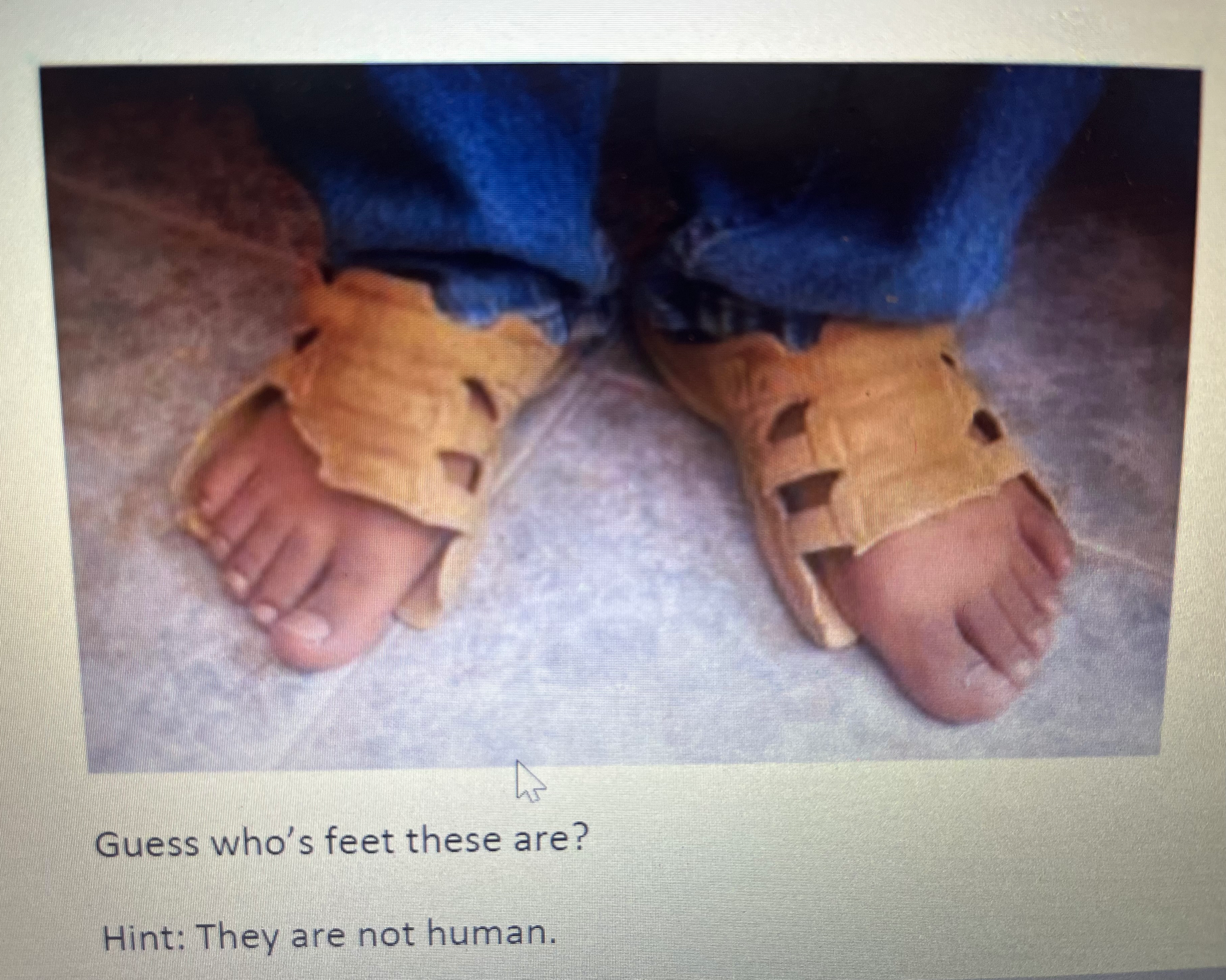 When SNAP benefits end ? Blank Meme Template