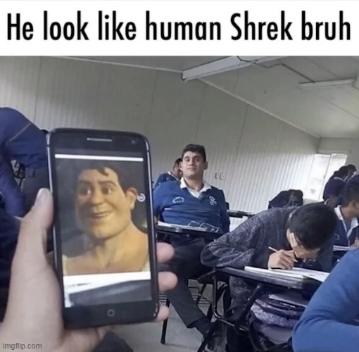 image tagged in human,shrek,human shrek | made w/ Imgflip meme maker