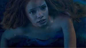 halle is defeated Blank Meme Template