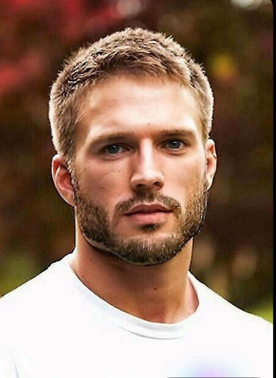 Beard Blank Meme Template